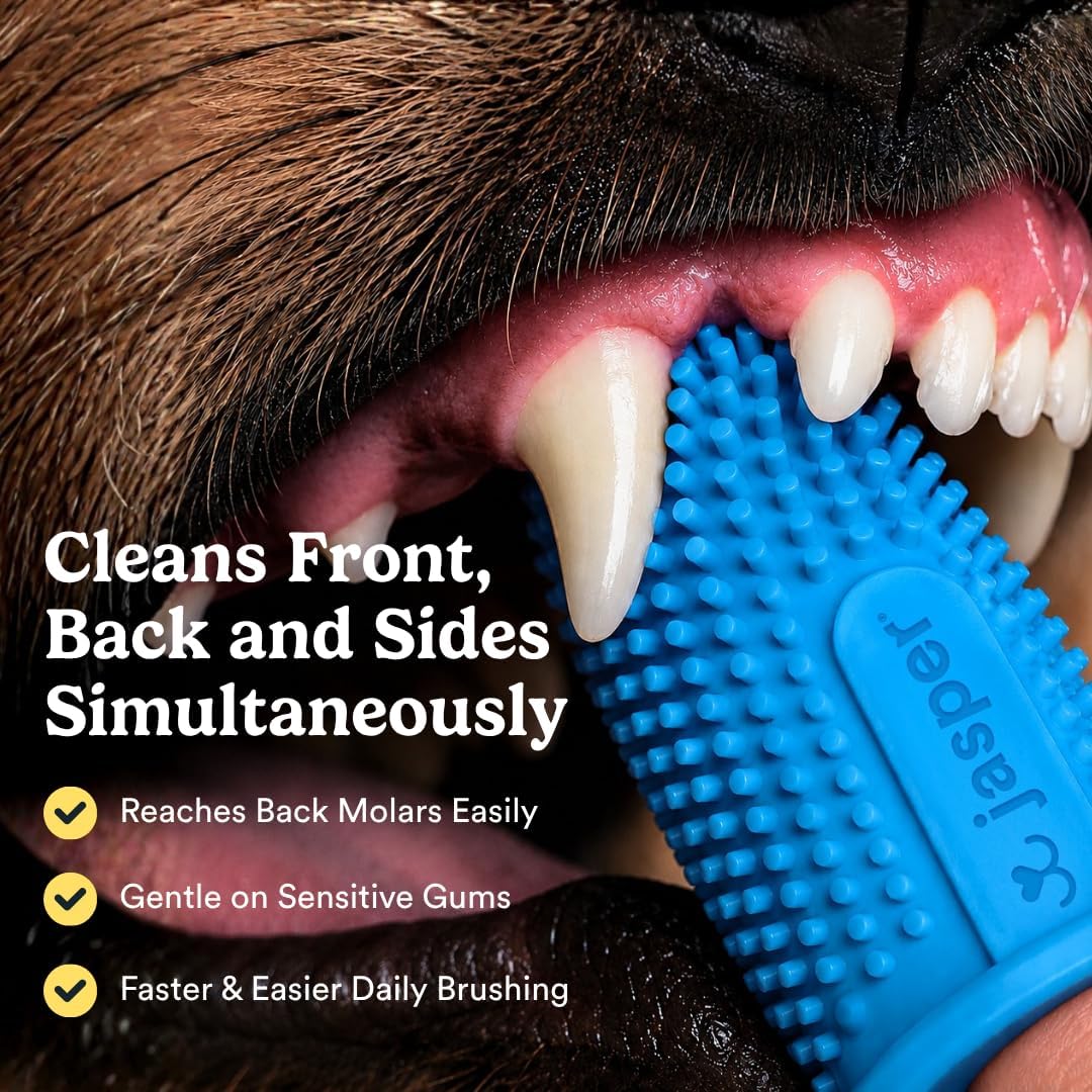 Jasper 360° Finger Toothbrush for Dogs and Cats, Blue